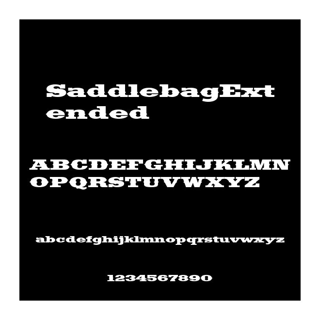 SaddlebagExtended