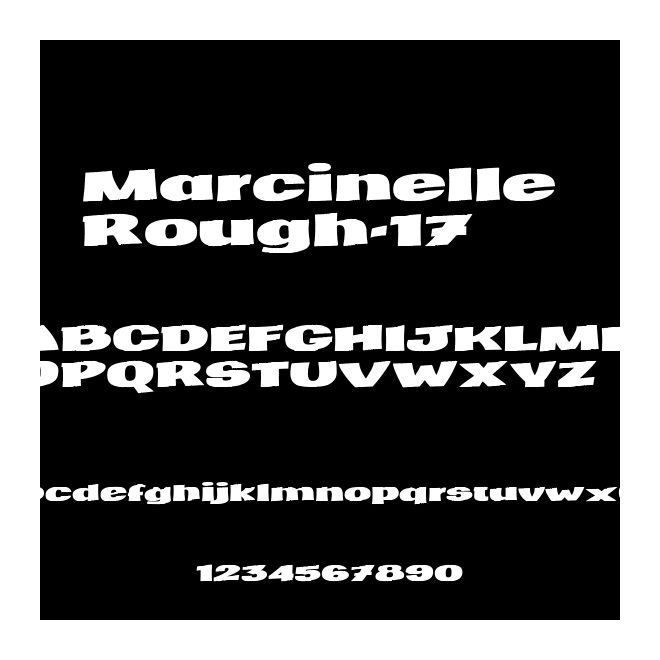 Marcinelle Rough-17