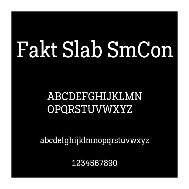 Fakt Slab SmCon
