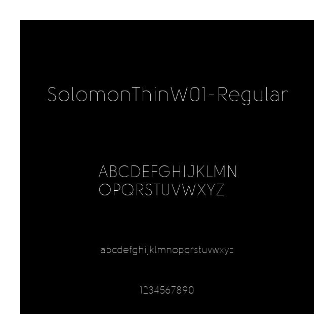 SolomonThinW01-Regular