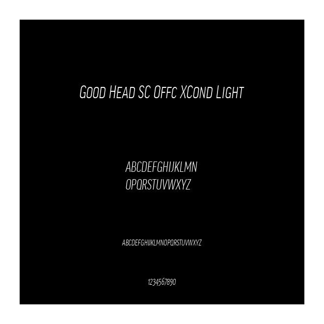Good Head SC Offc XCond Light