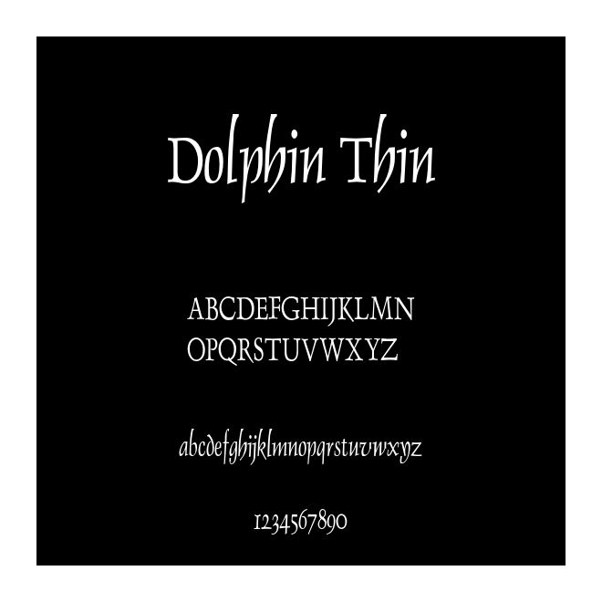 Dolphin Thin