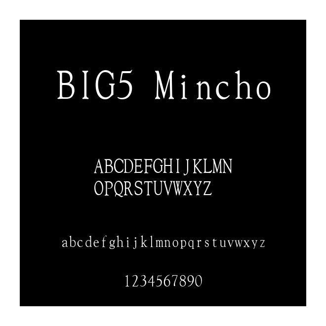 BIG5 Mincho