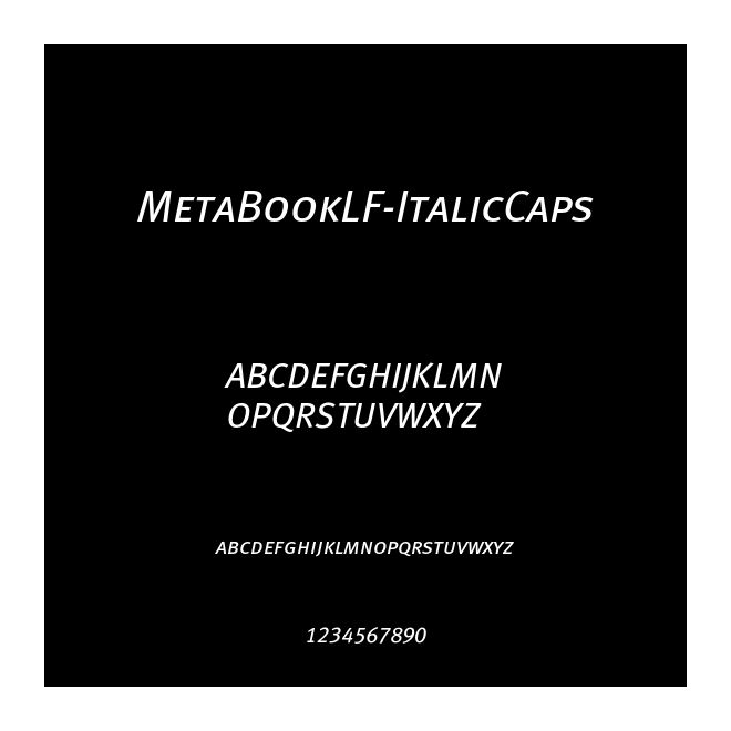 MetaBookLF-ItalicCaps