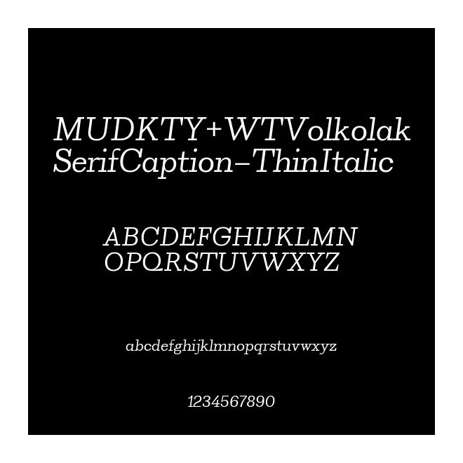 MUDKTY+WTVolkolakSerifCaption-ThinItalic