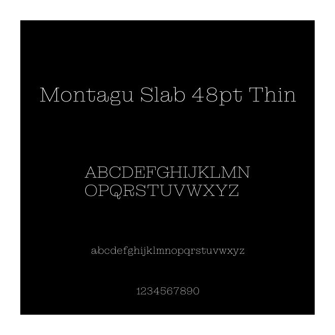 Montagu Slab 48pt Thin