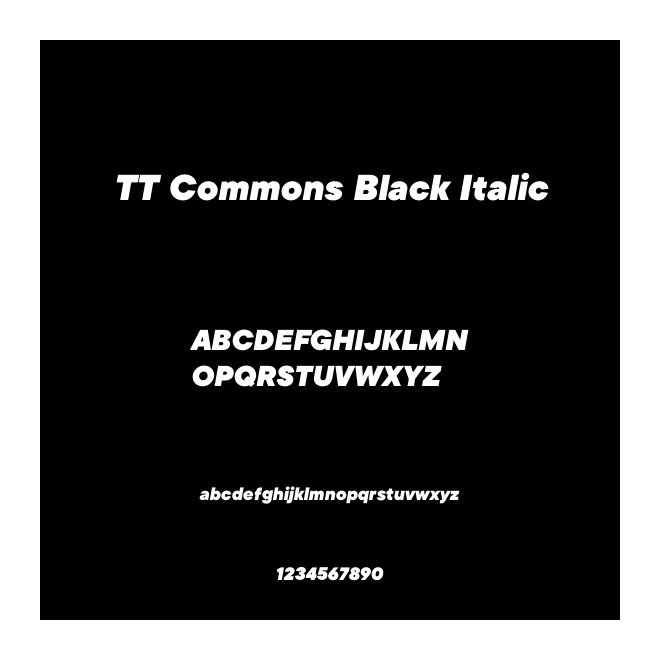 TT Commons Black Italic