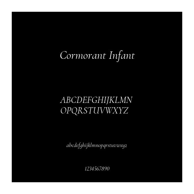 Cormorant Infant