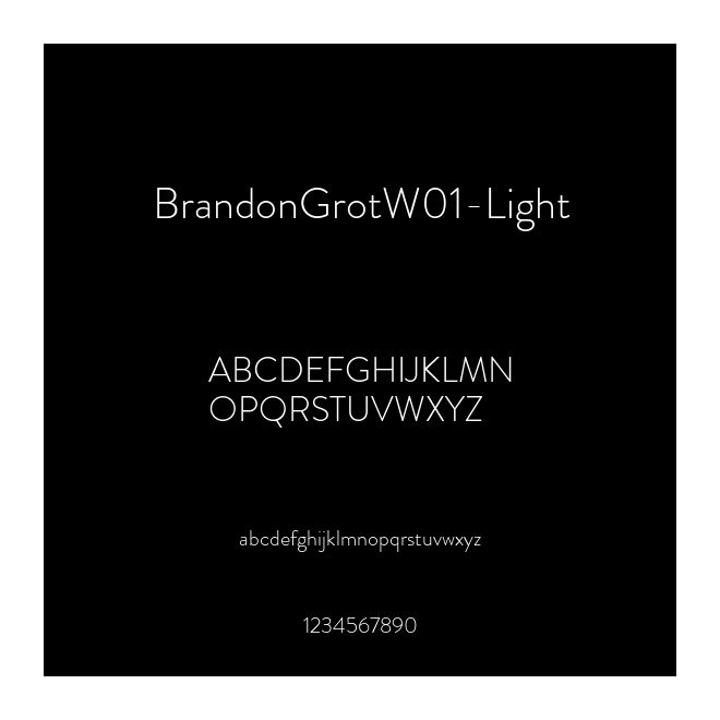 BrandonGrotW01-Light