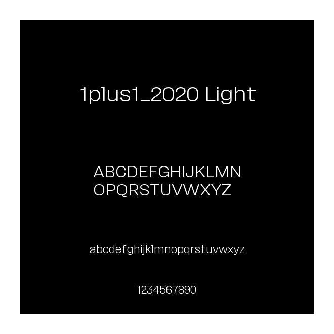 1plus1_2020 Light