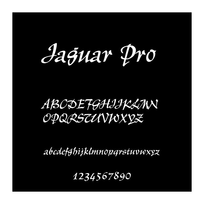 Jaguar Pro