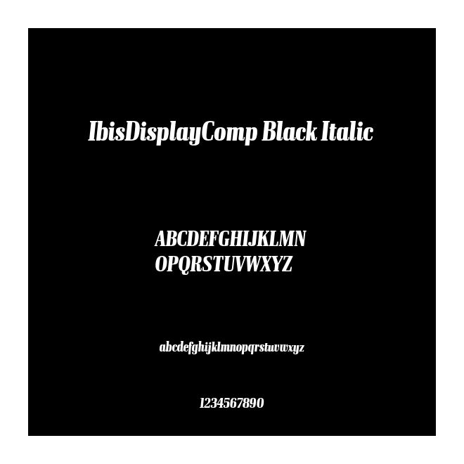 IbisDisplayComp Black Italic