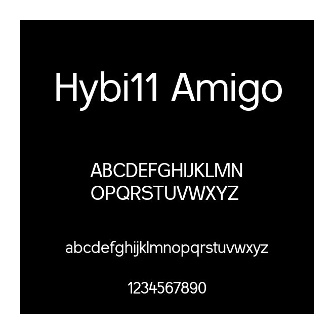 Hybi11 Amigo