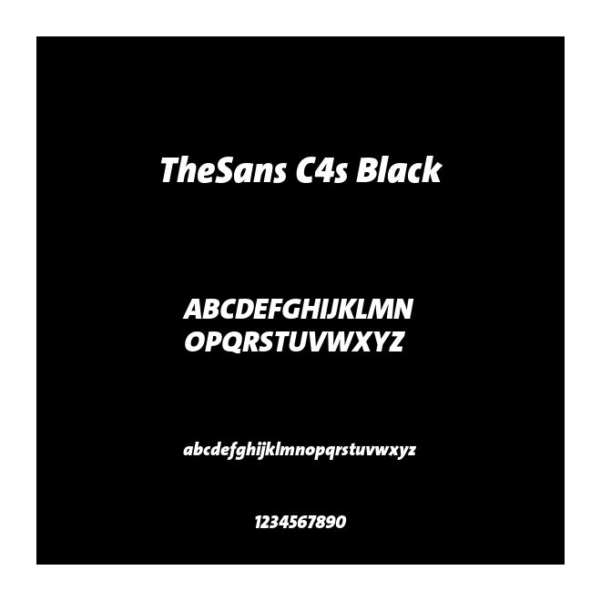 TheSans C4s Black