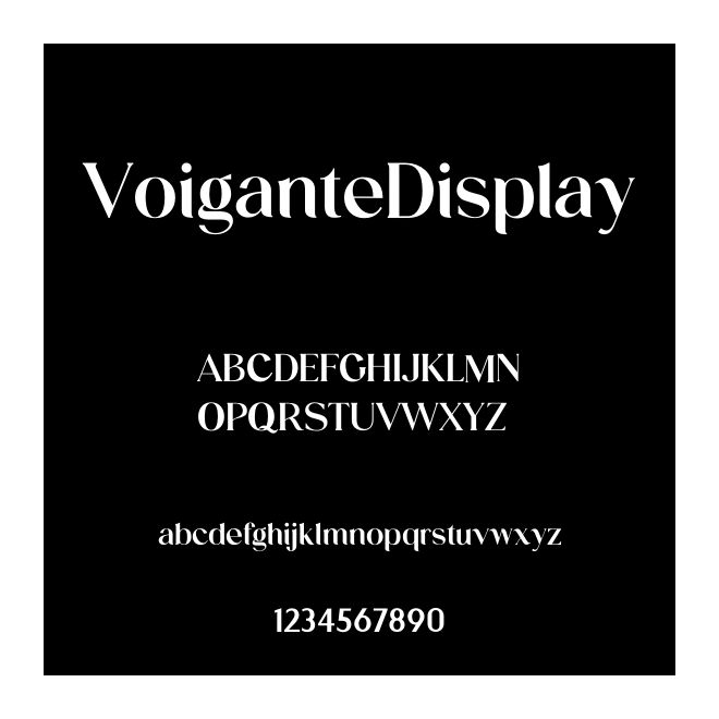 VoiganteDisplay