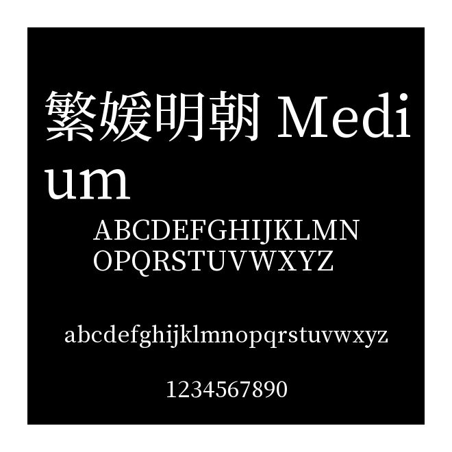 繁媛明朝 Medium