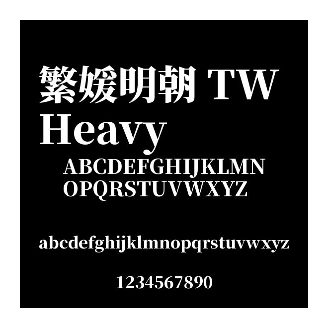 繁媛明朝 TW Heavy
