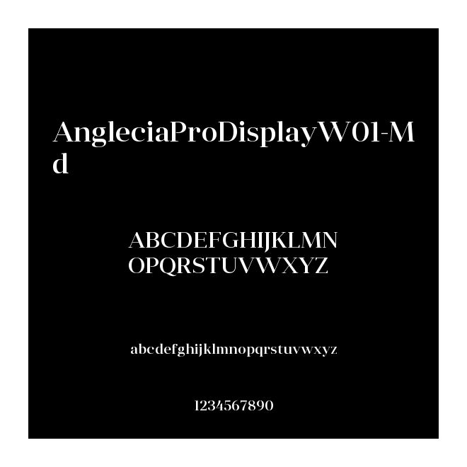 AngleciaProDisplayW01-Md