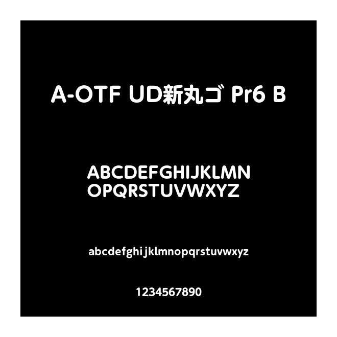 A-OTF UD新丸ゴ Pr6 B
