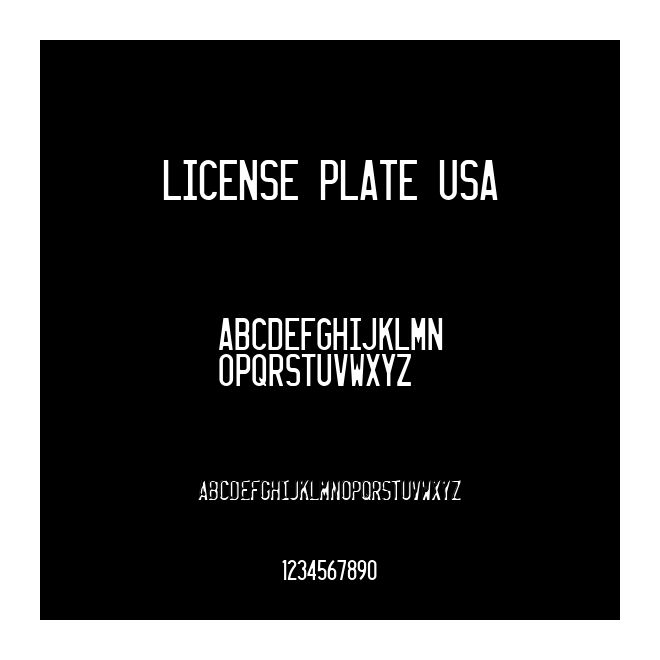 LICENSE PLATE USA