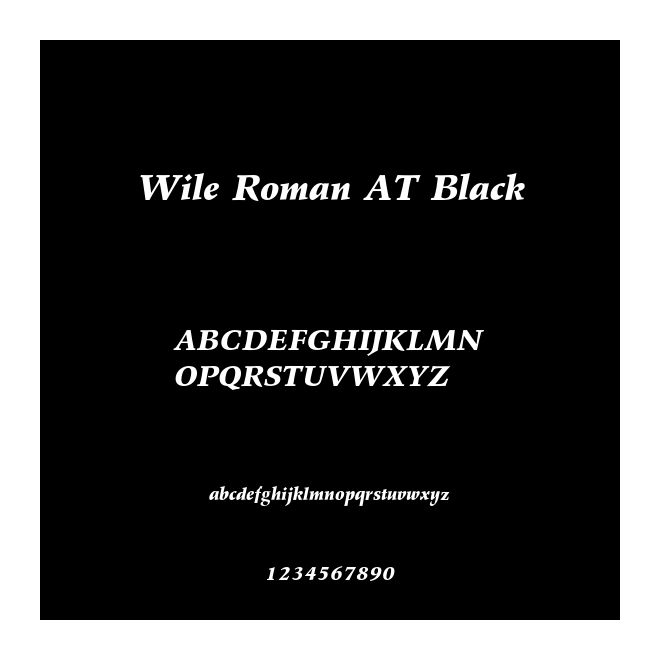 Wile Roman AT Black