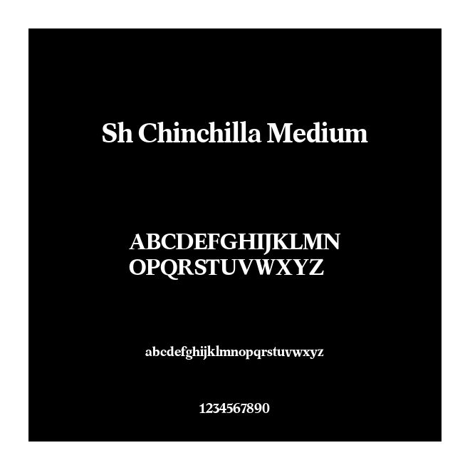 Sh Chinchilla Medium