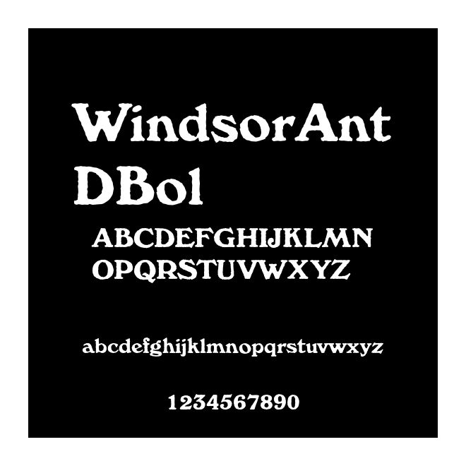 WindsorAntDBol