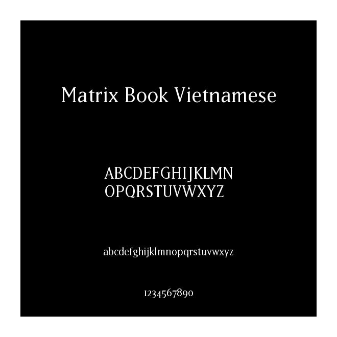 Matrix Book Vietnamese