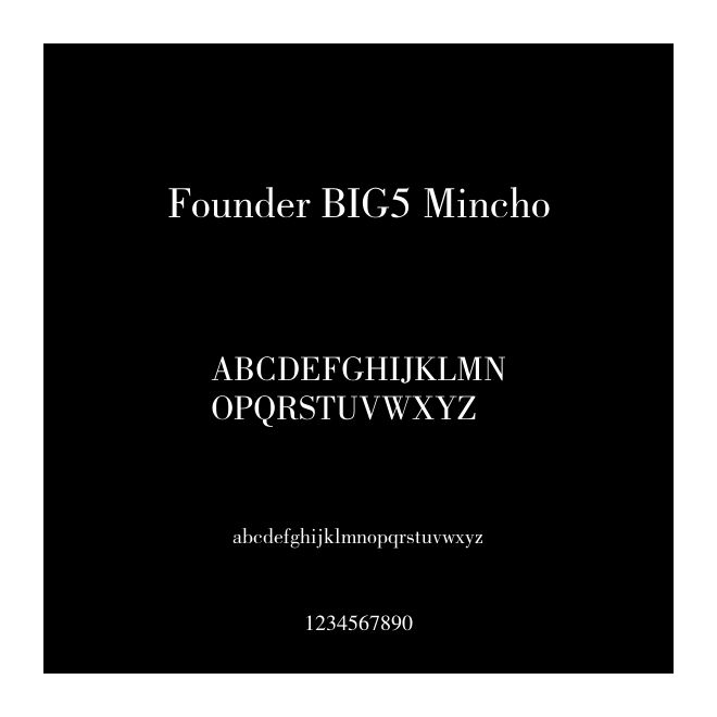 Founder BIG5 Mincho