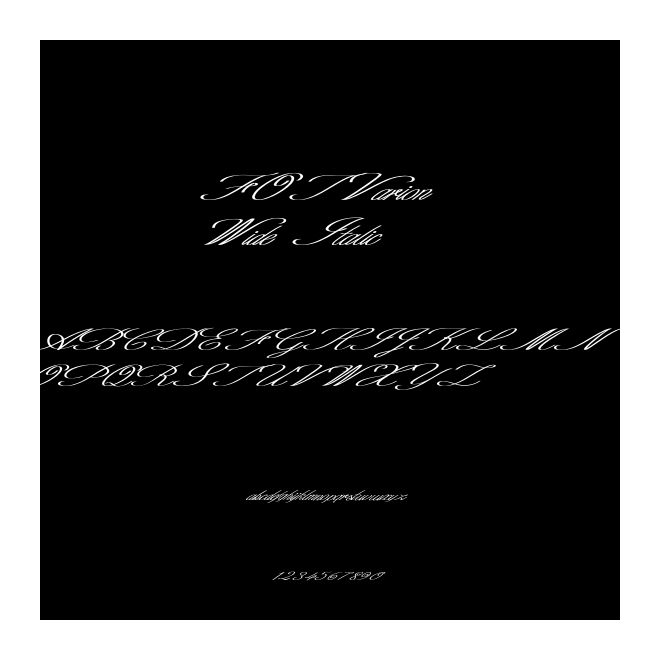 FOTVarion Wide Italic
