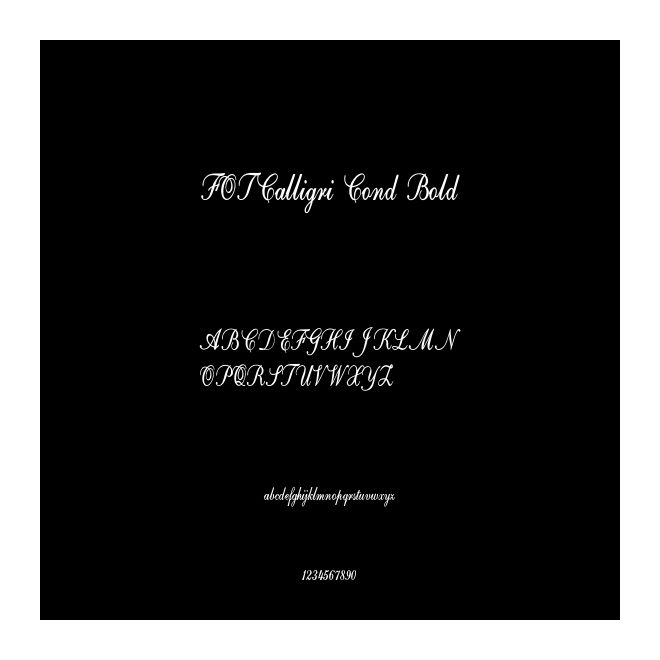 FOTCalligri Cond Bold
