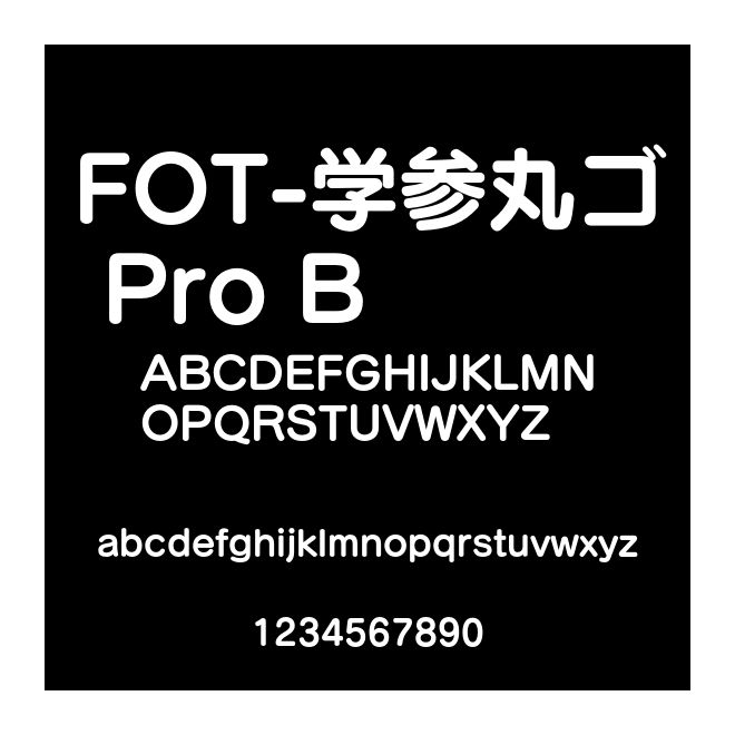 FOT-學參丸ゴ Pro B