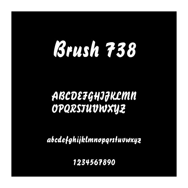 Brush 738