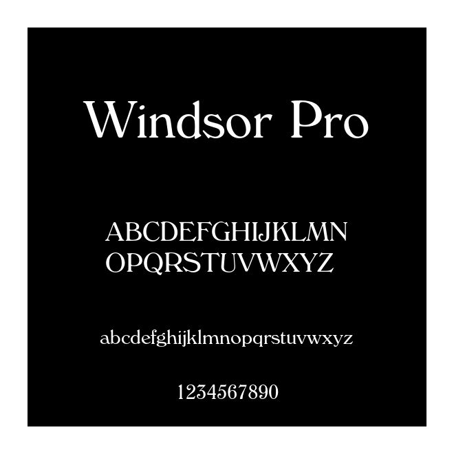 Windsor Pro