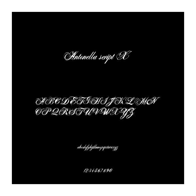 Antonella script X