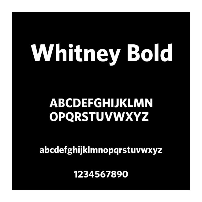 Whitney Bold
