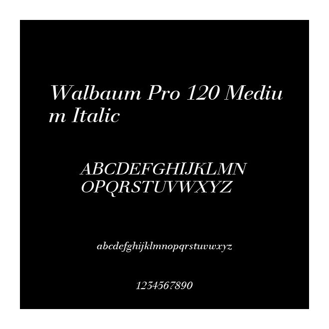 Walbaum Pro 120 Medium Italic