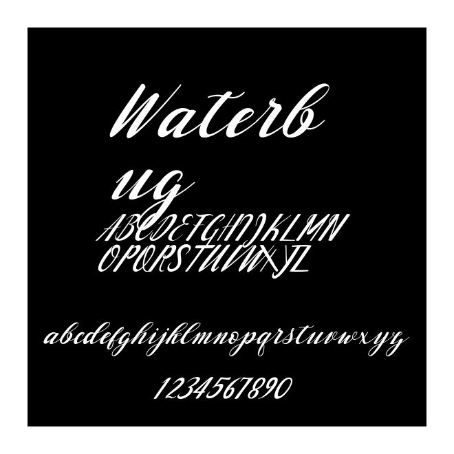 Waterbug