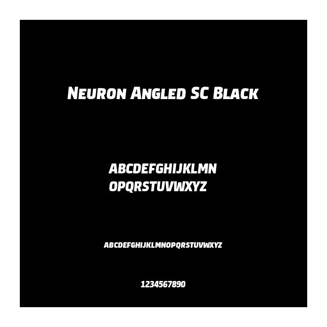 Neuron Angled SC Black