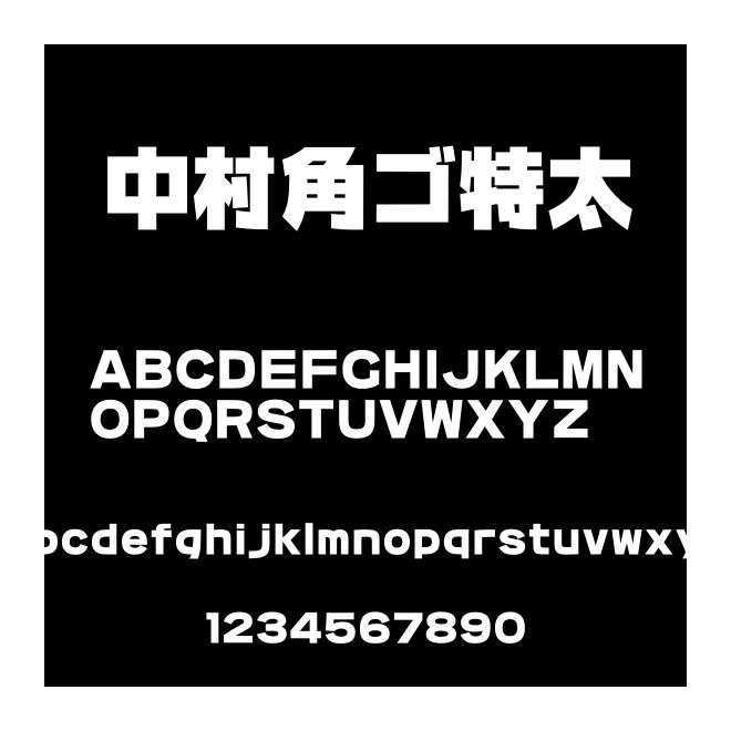 中村角ゴ特太
