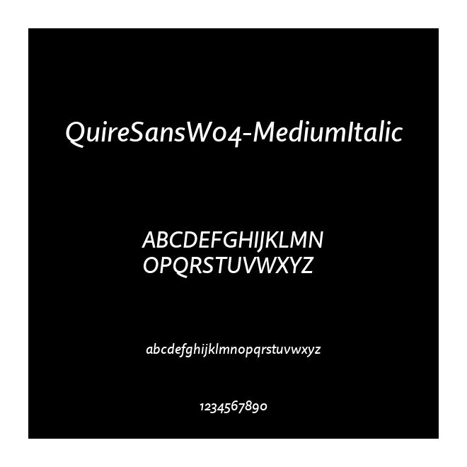 QuireSansW04-MediumItalic