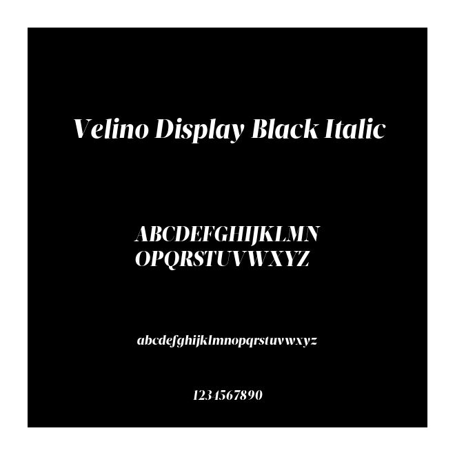 Velino Display Black Italic