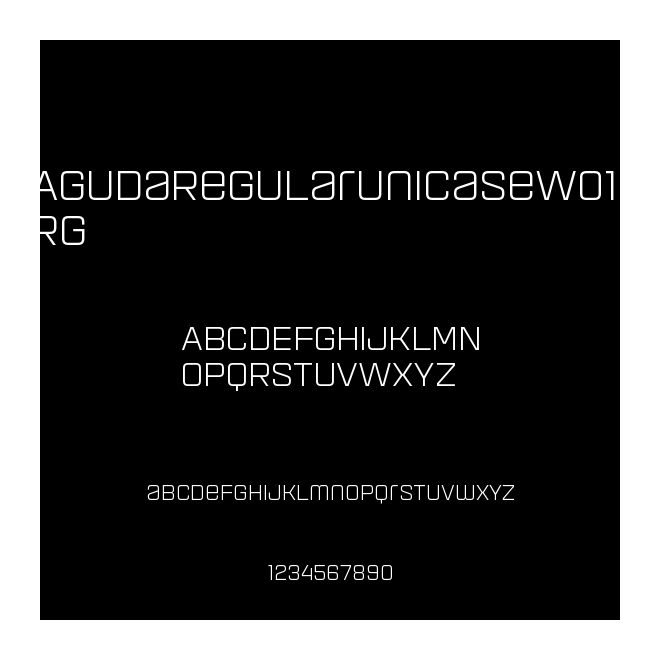 AgudaRegularUnicaseW01-Rg