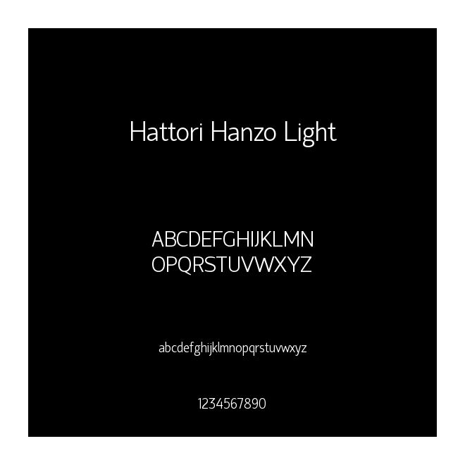 Hattori Hanzo Light