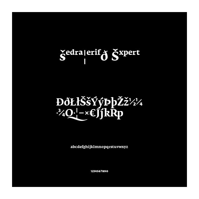FedraSerifB Expert