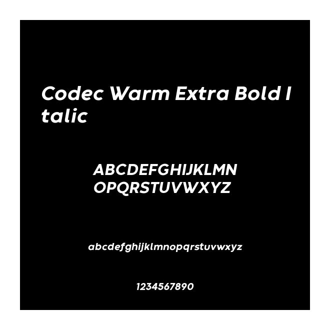 Codec Warm Extra Bold Italic