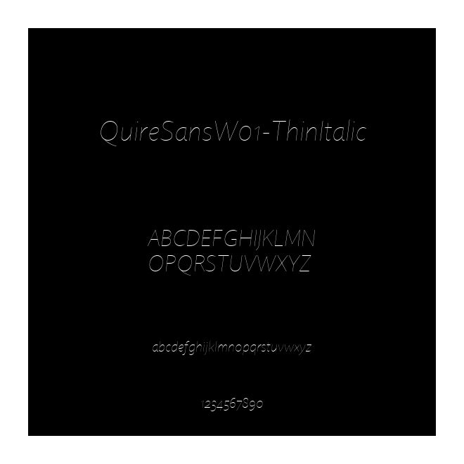 QuireSansW01-ThinItalic