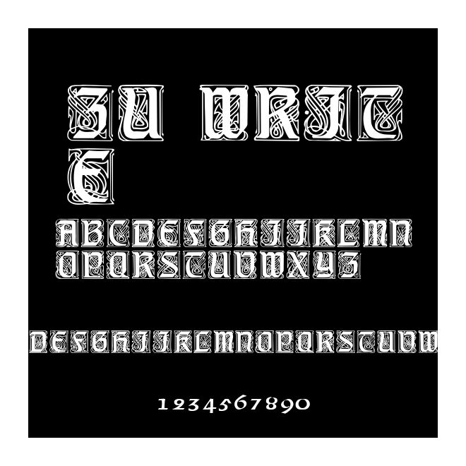 ZU WRITE