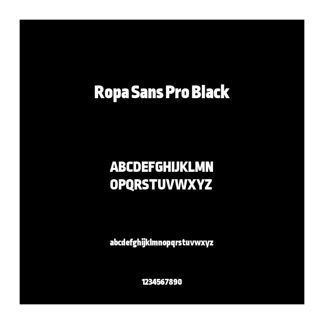 Ropa Sans Pro Black