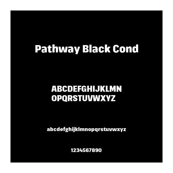 Pathway Black Cond